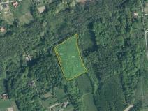 Prodej lesa, Doubrava, 16188 m2