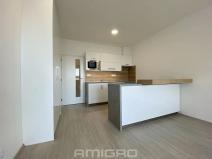 Pronájem bytu 1+kk, Brno, Reissigova, 32 m2