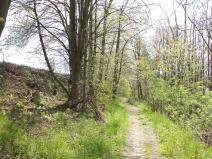 Dražba pozemku, Vítkov, 5357 m2