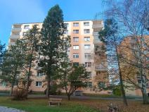 Pronájem bytu 1+1, Plzeň, Na Dlouhých, 40 m2