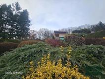 Prodej chaty, Kdyně, 22 m2