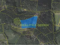 Prodej lesa, Růžďka, 21209 m2