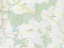 Dražba lesa, Žirovnice, 2931 m2