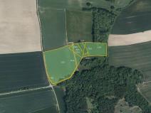 Prodej pole, Očelice, 15398 m2