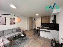 Pronájem bytu 1+kk, Ostrov, Myslbekova, 33 m2