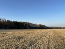 Prodej pole, Hvozdec, 2887 m2