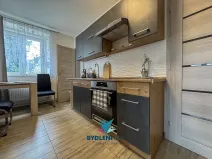 Prodej bytu 1+1, Tisá, 43 m2