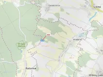 Dražba lesa, Olešnice, 15106 m2