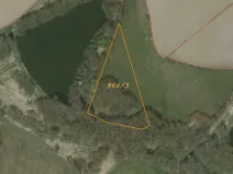 Dražba louky, Dolní Pěna, 4291 m2