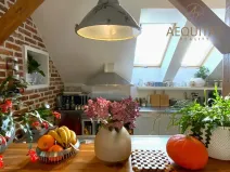 Pronájem bytu 4+kk, Liberec, Stroupežnického, 111 m2