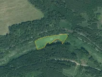 Prodej louky, Bor, 4514 m2
