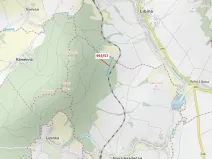 Dražba lesa, Nová Hradečná, 6750 m2