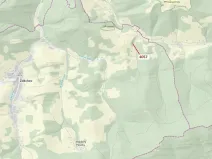 Dražba lesa, Zděchov, 435 m2