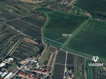 Prodej pole, Mutěnice, 1151 m2