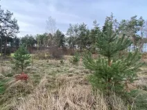 Dražba lesa, Kostelní Lhota, 9438 m2