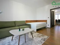 Pronájem bytu 1+1, Brno, Jeneweinova, 47 m2