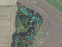 Prodej lesa, Běrunice, 1361 m2