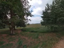 Prodej pozemku, Králíky, 4246 m2