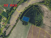 Prodej lesa, Písařov, 2762 m2