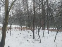 Prodej lesa, Pardubice, 1407 m2