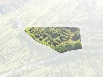 Prodej sadu/vinice, Troskovice, 8502 m2