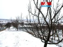 Prodej pole, Starý Poddvorov, 4096 m2