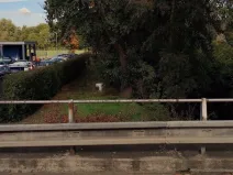 Prodej pozemku, Nové Dvory, 347 m2