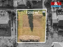 Prodej pozemku pro bydlení, Borová, 1250 m2