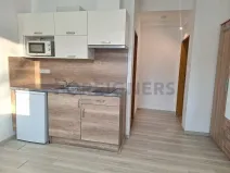 Pronájem bytu 1+kk, Olomouc, Lazecká, 25 m2