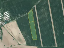 Prodej podílu pole, Poběžovice, 28823 m2