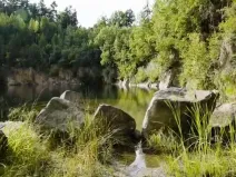 Prodej rybníku, Lipová, 80000 m2