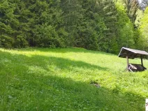 Prodej pozemku pro bydlení, Tanvald, 7310 m2