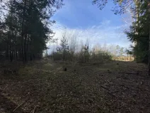 Prodej lesa, Veliny, 4968 m2