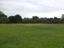 Dražba louky, Česká Lípa, 5581 m2