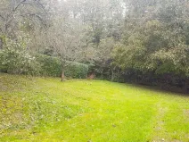 Prodej zahrady, Libina, 239 m2