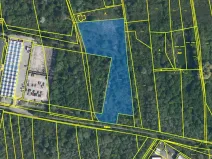 Prodej louky, Kosmonosy, 8401 m2