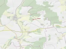 Dražba lesa, Milavče, 222 m2