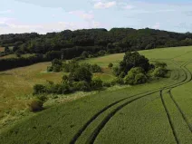 Dražba pole, Dobrkovice, 30944 m2