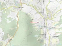 Dražba lesa, Spešov, 420 m2