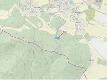 Dražba lesa, Pačejov, 1958 m2