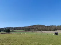 Prodej pozemku pro bydlení, Horažďovice, 2250 m2