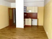 Pronájem bytu 2+kk, Teplice, Dubská, 45 m2