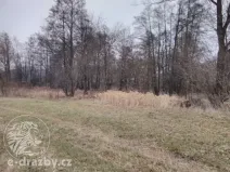 Dražba pozemku, Klatovy, 1313 m2