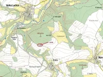 Dražba lesa, Nové Dvory, 953 m2