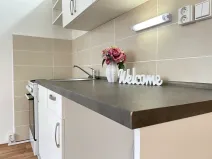 Pronájem bytu 1+1, Litvínov, Rooseveltova, 37 m2