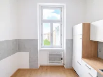 Pronájem bytu 1+1, Brno, bratří Čapků, 55 m2