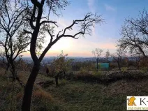 Prodej zahrady, Brno - Židenice, 1227 m2