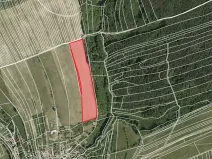 Prodej pole, Kaňovice, 154 m2