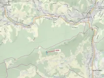 Dražba lesa, Velké Hamry, 6125 m2