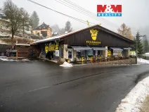 Prodej obchodního prostoru, Kraslice - Tisová, 560 m2